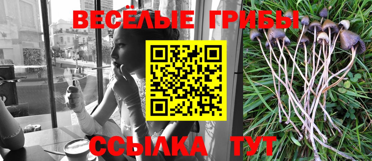 Псилоцибиновые грибы Cubensis  Псилоцибиновые грибы GOLDEN TEACHER  Сергиев Посад  Вход с VPN 