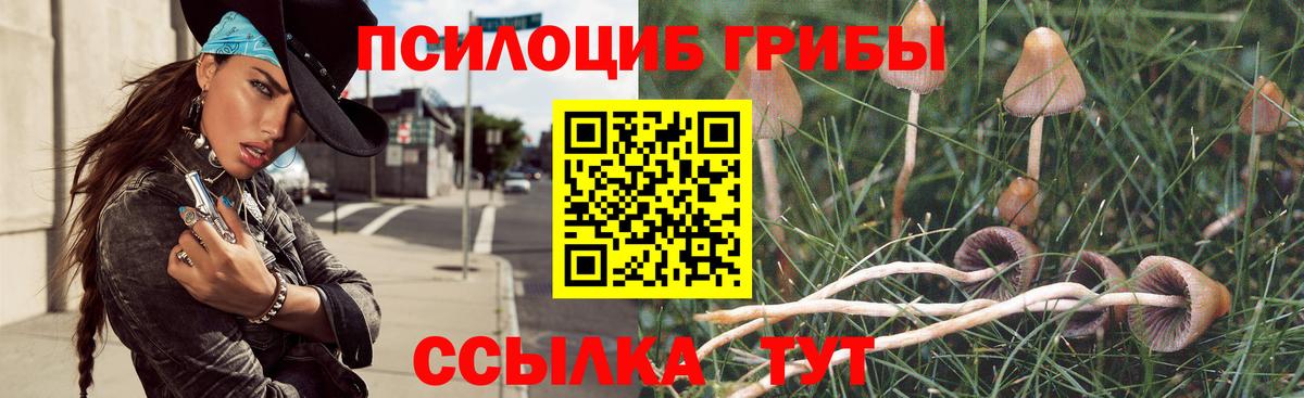 Галлюциногенные грибы мухоморы Сергиев Посад